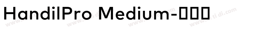 HandilPro Medium字体转换 HandilPro Medium字体转换